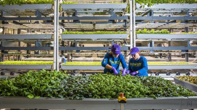 forbes-top-50-agtech-companies-in-the-world