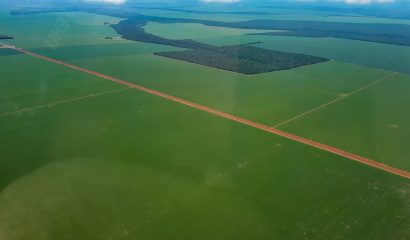 2017-12-09 Soy bean Fields in the State of Mato Grosso by Alessandro Casella