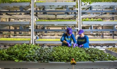forbes-top-50-agtech-companies-in-the-world